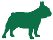 Small dog